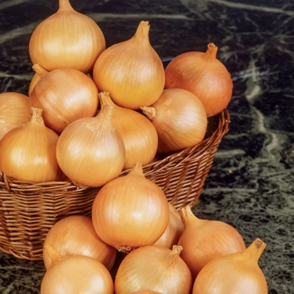 Cebula Bio 3 kg Farmy Roztocza