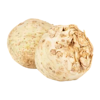 Seler ekologiczny 